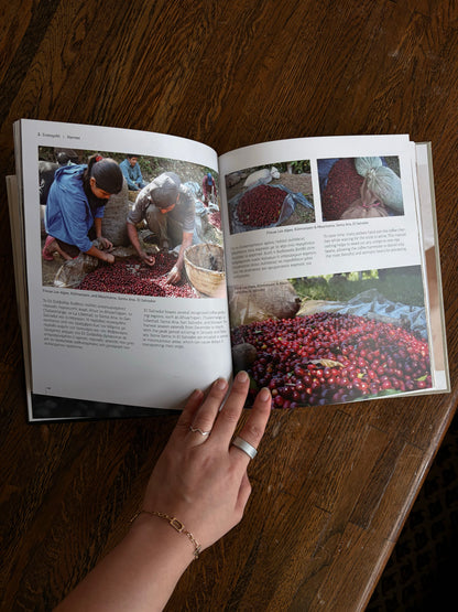 Coffee Routes