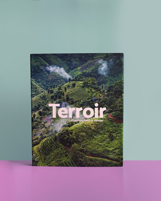 Terroir